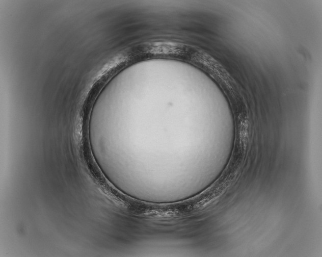 X0000112110727200908251211