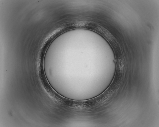 X0000112110728200908251211