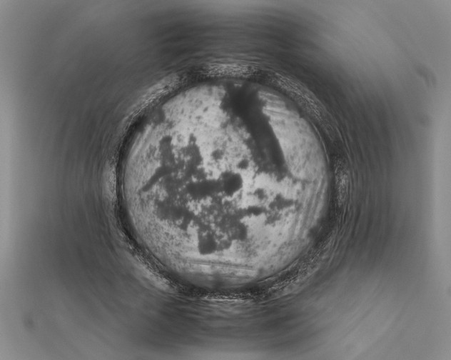 X0000112110729200908251211