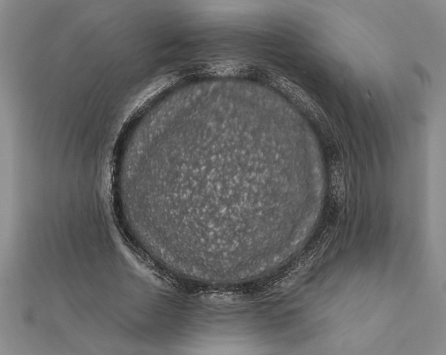 X0000112110730200908251211