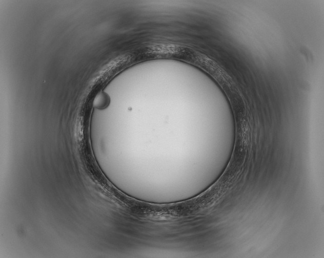 X0000112110731200908251211