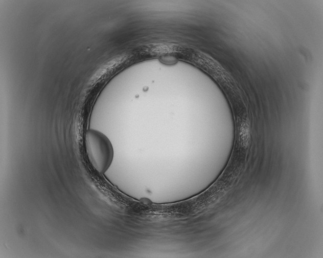 X0000112110732200908251211