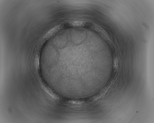 X0000112110733200908251211