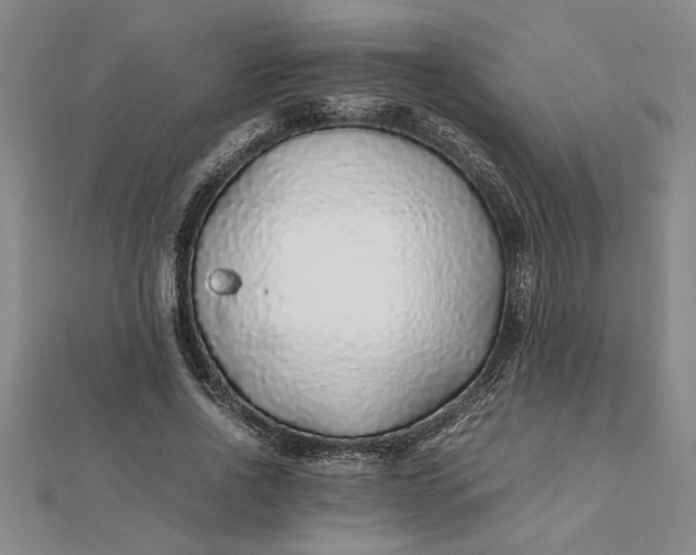 X0000112110734200908251211