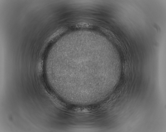 X0000112110735200908251211