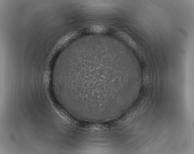 X0000112110736200908251211