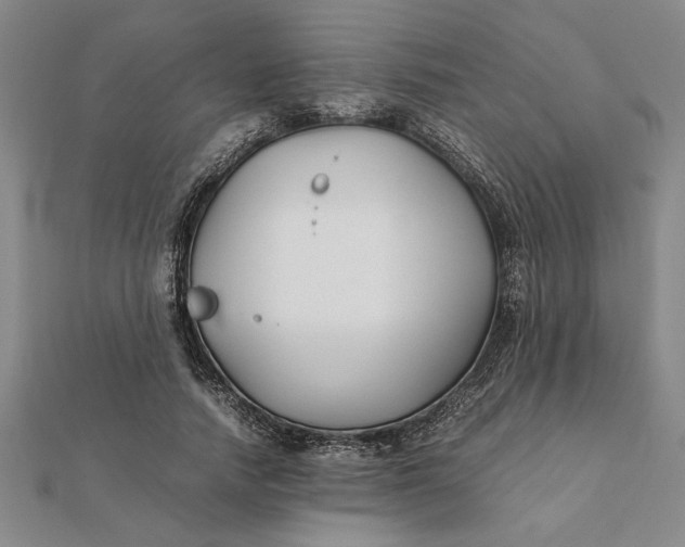 X0000112110738200908251211