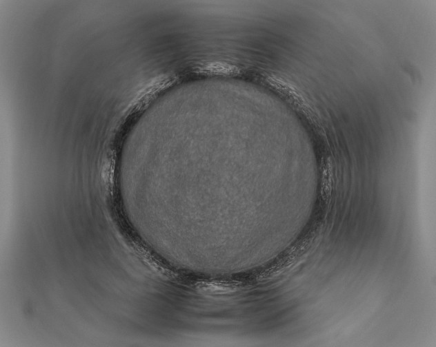 X0000112110739200908251211