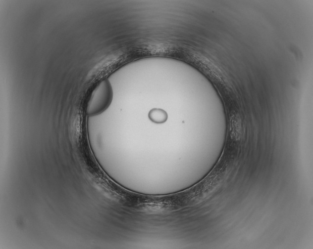 X0000112110740200908251211