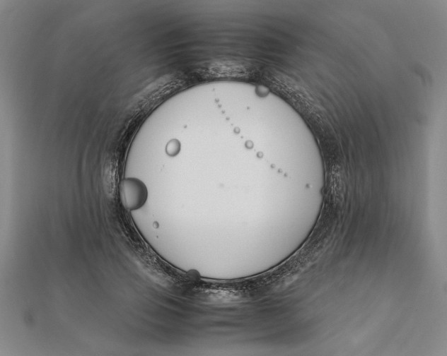 X0000112110741200908251211