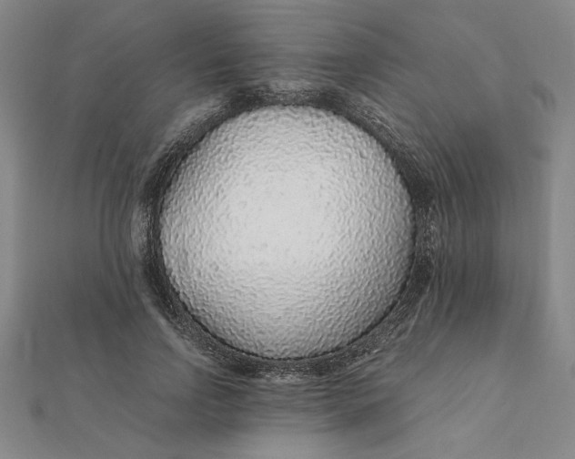 X0000112110742200908251211