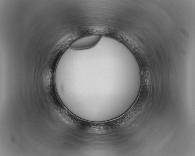 X0000112110744200908251211