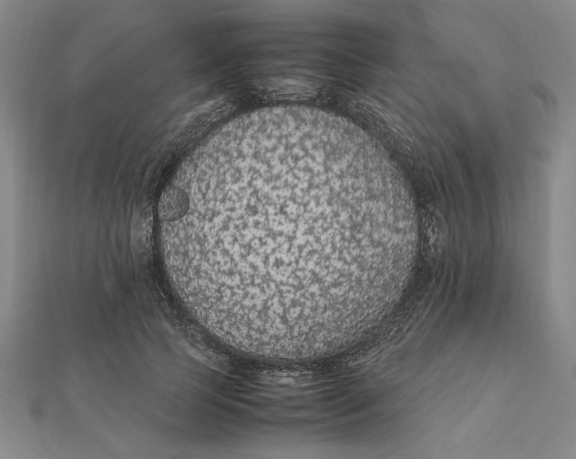 X0000112110745200908251211