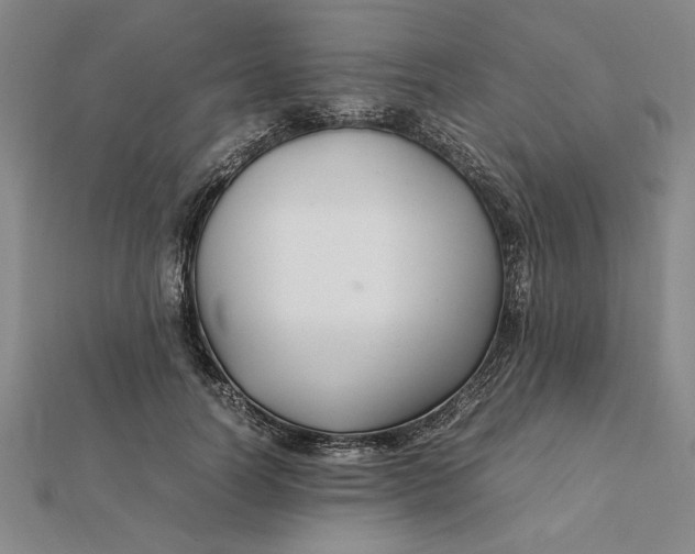 X0000112110746200908251211