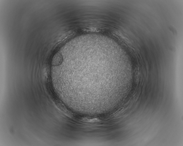 X0000112110747200908251211