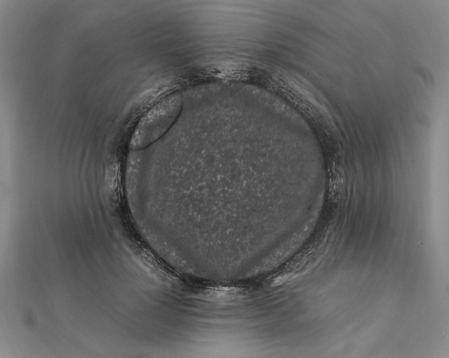 X0000112110748200908251211