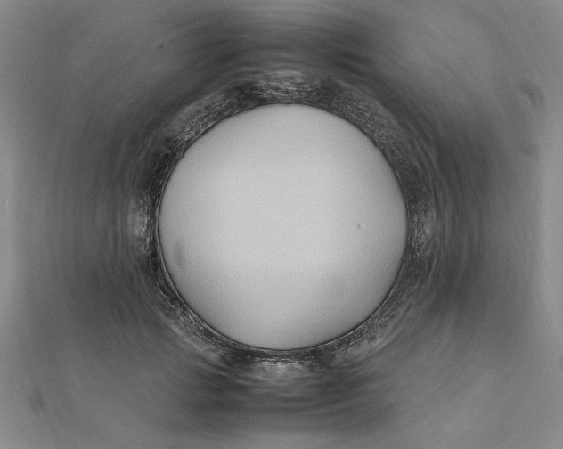 X0000112110749200908251211