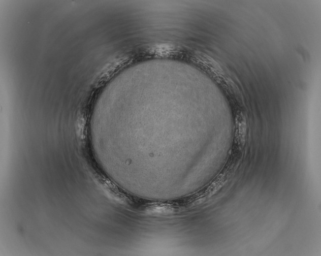 X0000112110750200908251211