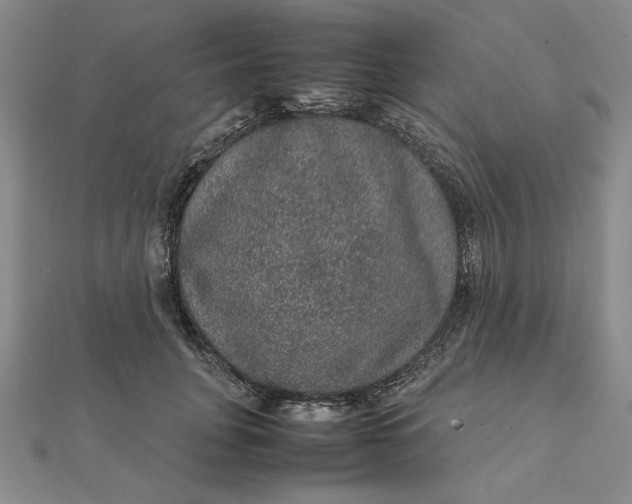 X0000112110751200908251211