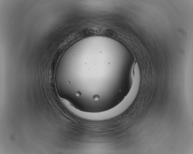 X0000112110752200908251211