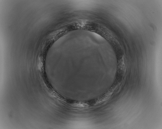 X0000112110754200908251211