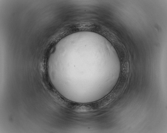 X0000112110755200908251211