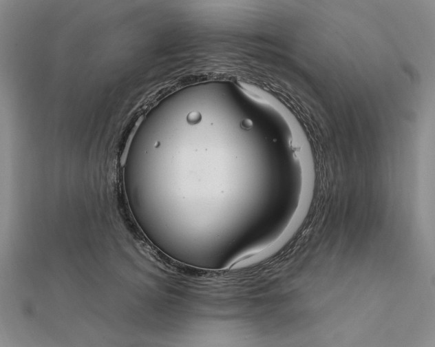 X0000112110756200908251211