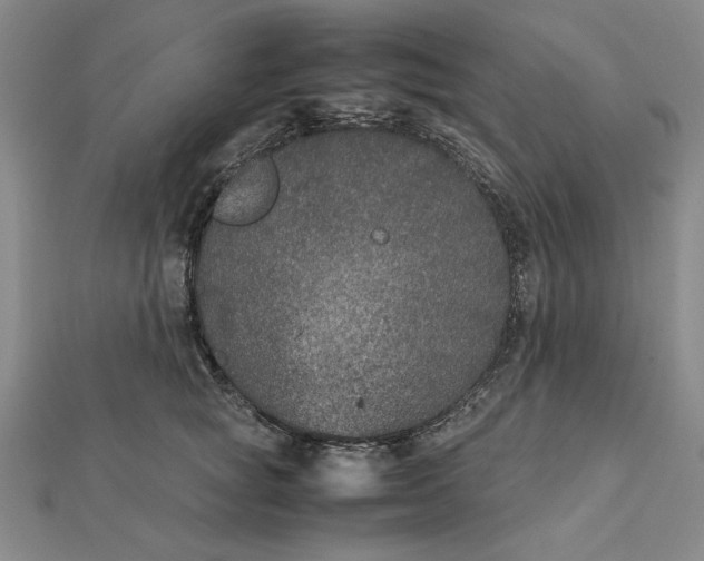 X0000112110757200908251211