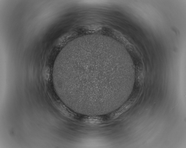 X0000112110758200908251211