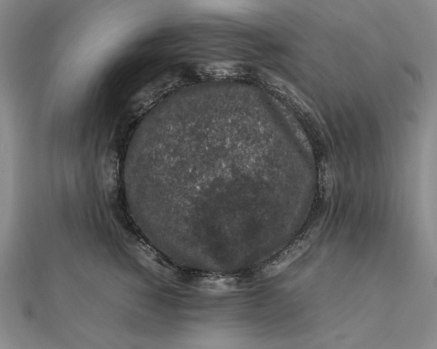 X0000112110760200908251211