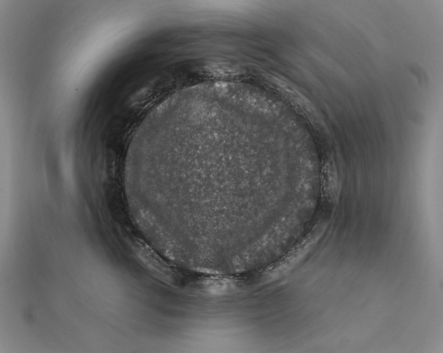 X0000112110762200908251211