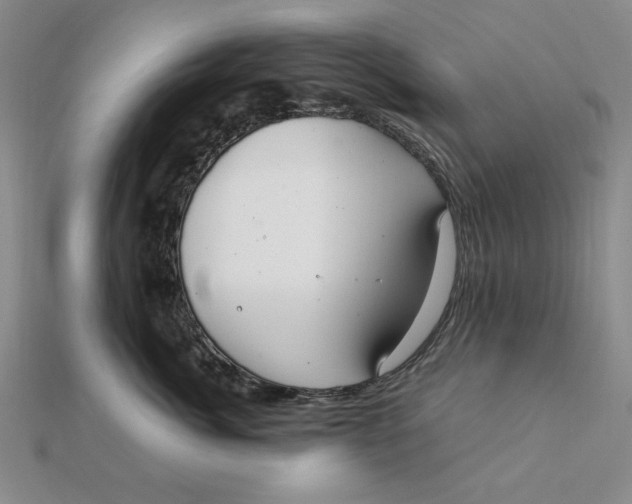 X0000112110764200908251211