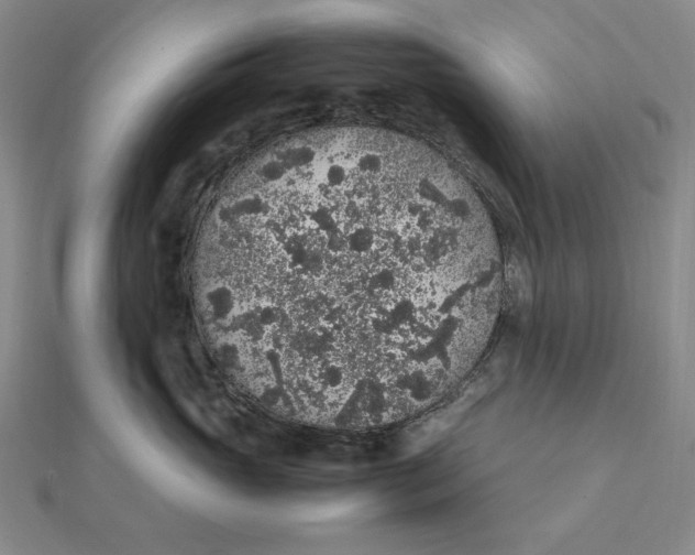 X0000112110765200908251211