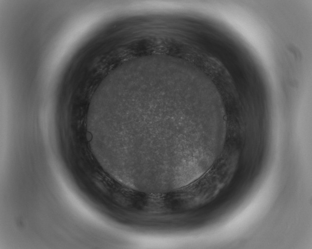 X0000112110766200908251211