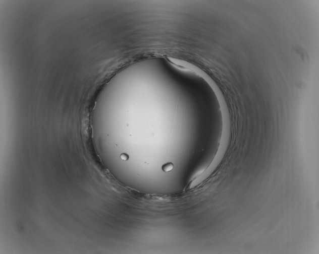 X0000112110768200908251211