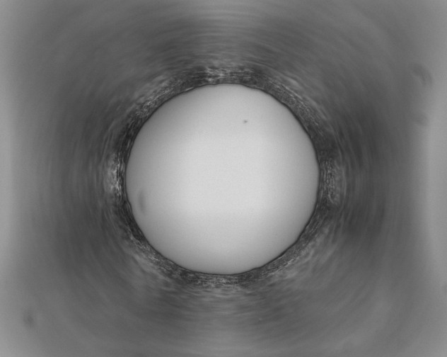 X0000112110770200908251210