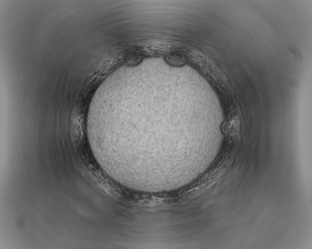 X0000112110772200908251210