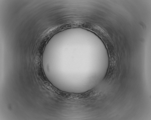 X0000112110773200908251210