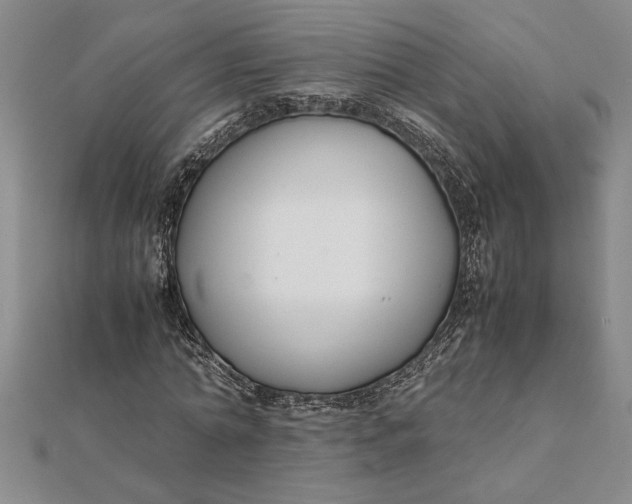 X0000112110774200908251210