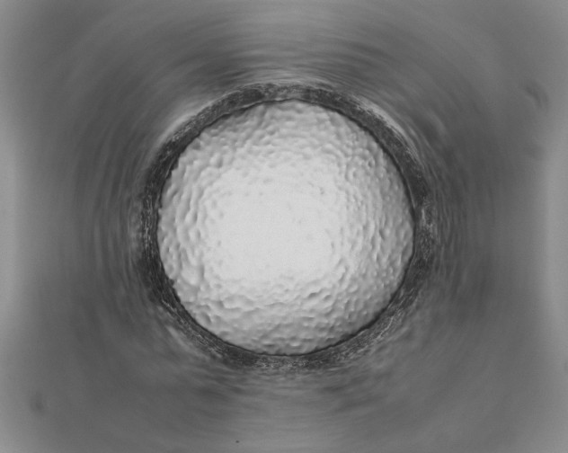 X0000112110775200908251210