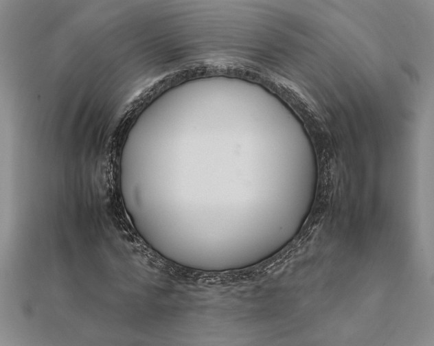 X0000112110776200908251210