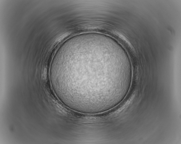 X0000112110777200908251210