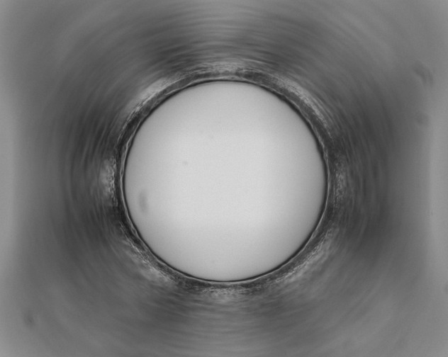 X0000112110778200908251210