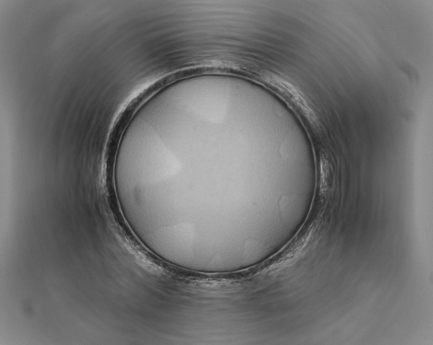 X0000112110780200908251210