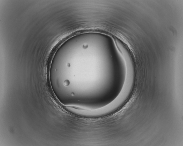 X0000112110781200908251210