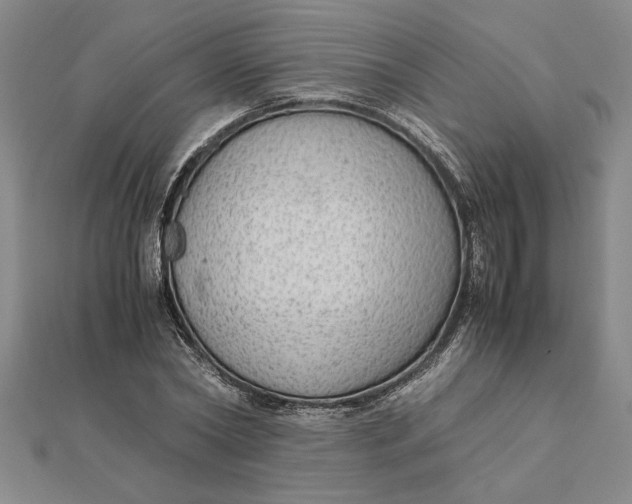 X0000112110782200908251210