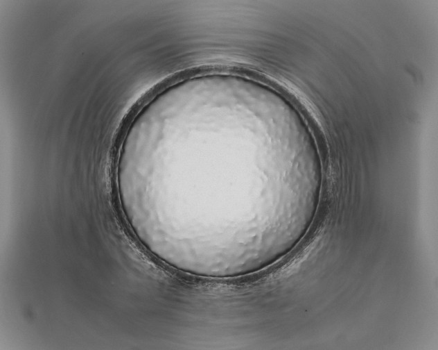 X0000112110783200908251210