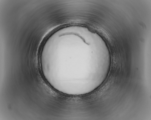 X0000112110784200908251210