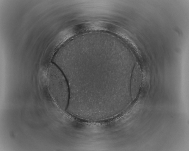 X0000112110785200908251210