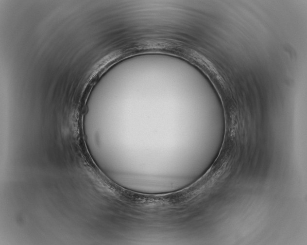 X0000112110786200908251210